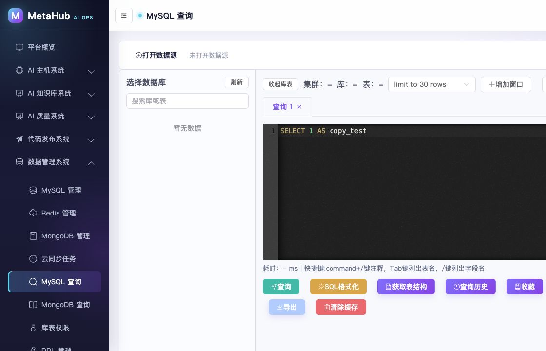 MetaHub 数据管理系统 MySQL 受控查询工作台实机界面